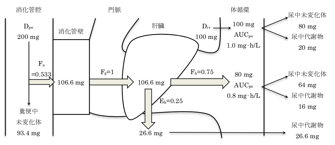 解説画像